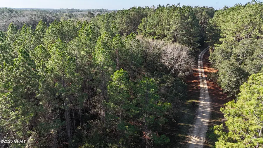 00 Southern Oak Way, Westville, FL 32464 - Image #2