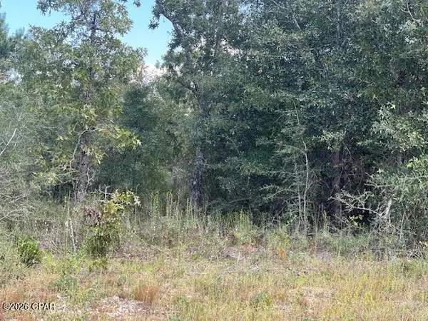 0 Yarmouth Avenue, Chipley, FL 32428