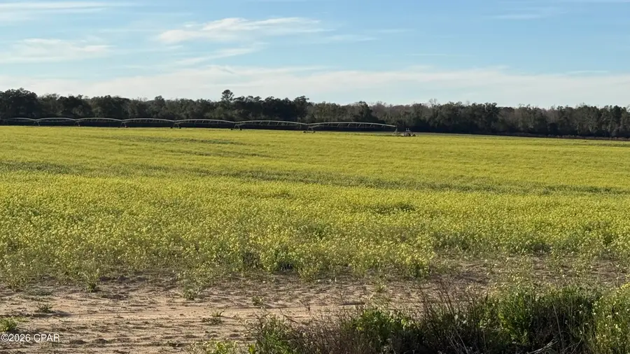 5526 Old U S Road, Malone, FL 32445 - Image #3