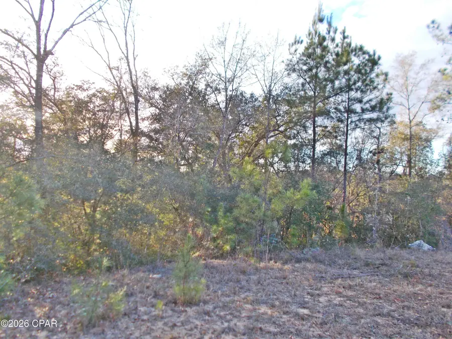 Lot 11 Rim Court #unit  3, Marianna, FL 32448 - Image #3