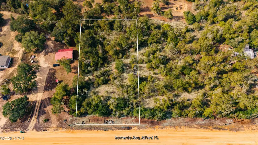 0 Sorrento Avenue, Alford, FL 32420 - Image #2