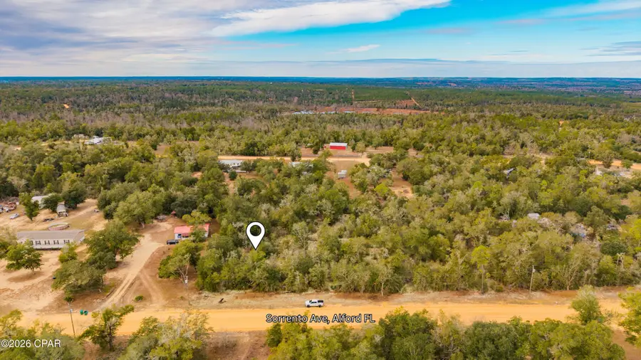 0 Sorrento Avenue, Alford, FL 32420 - Image #3