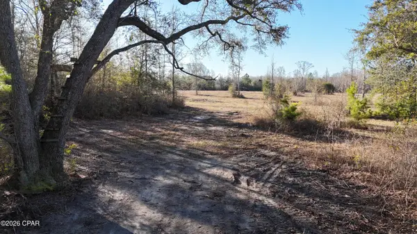 3120 Mount Olive Road, Bonifay, FL 32425