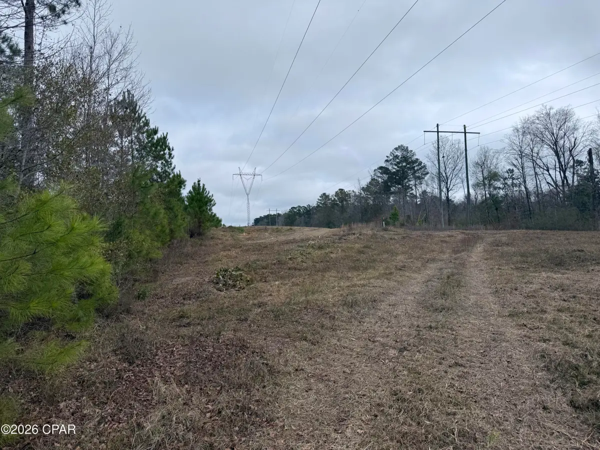 0 Dunn Road, Chattahoochee, FL 32324 - Image #1