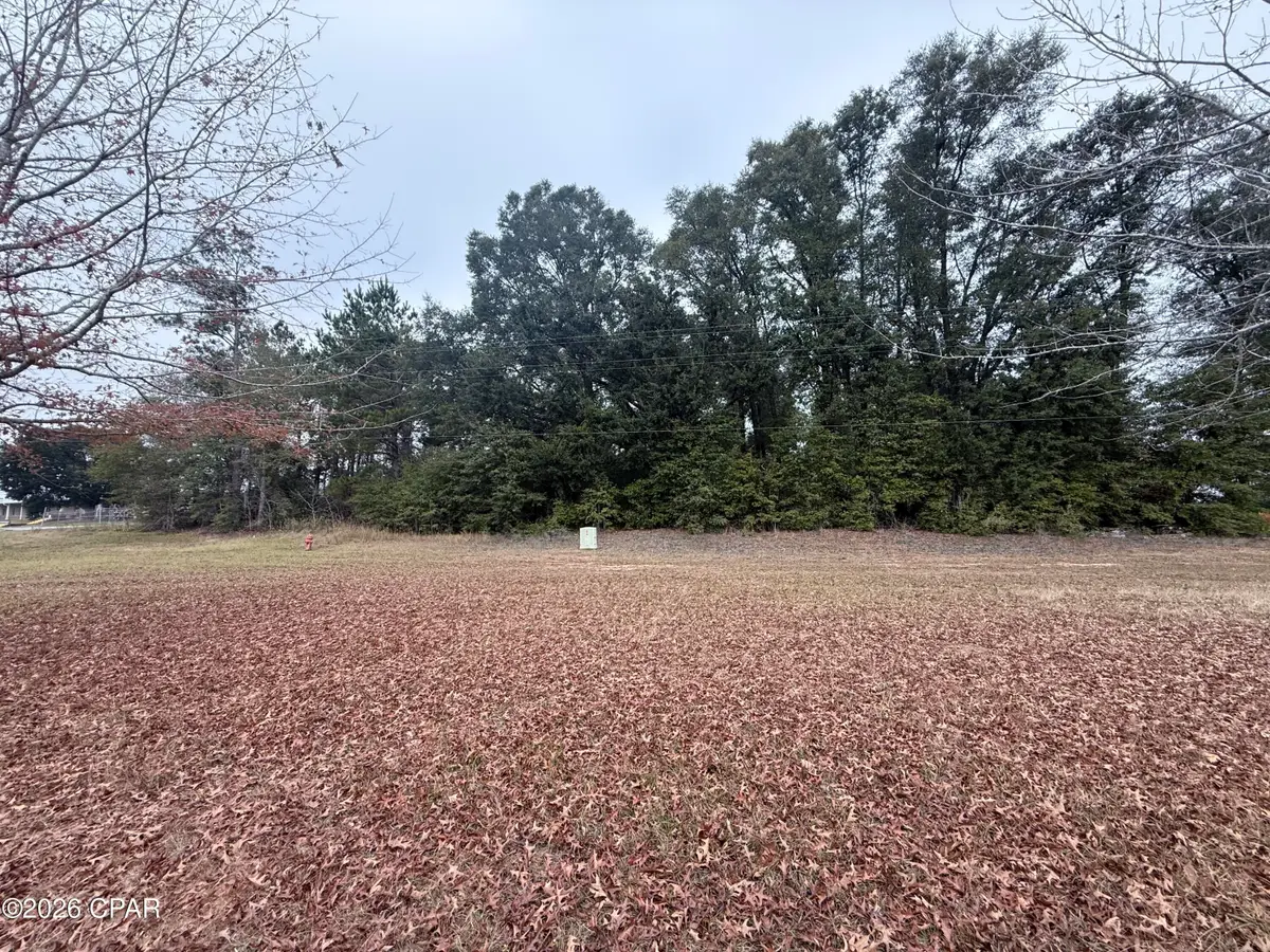 0 Hwy 90, Sneads, FL 32460 - Image #1