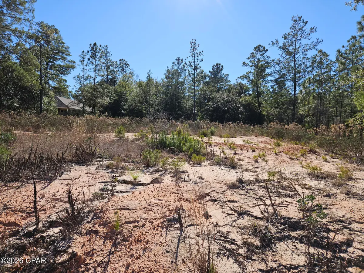 2245 Shenandoah Boulevard, Chipley, FL 32428 - Image #1