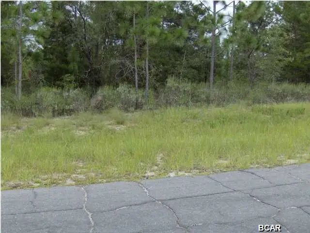 LOT 21 Pinehurst Avenue, Chipley, FL 32428 - Image #2