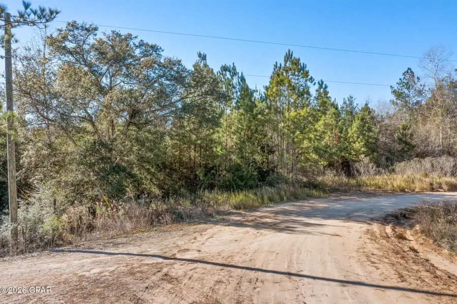 XXX Schmidt Lane, Chipley, FL 32428 - Image #2