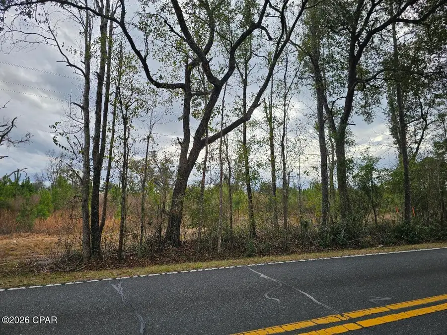 TBD Lovewood Road, Cottondale, FL 32431 - #3