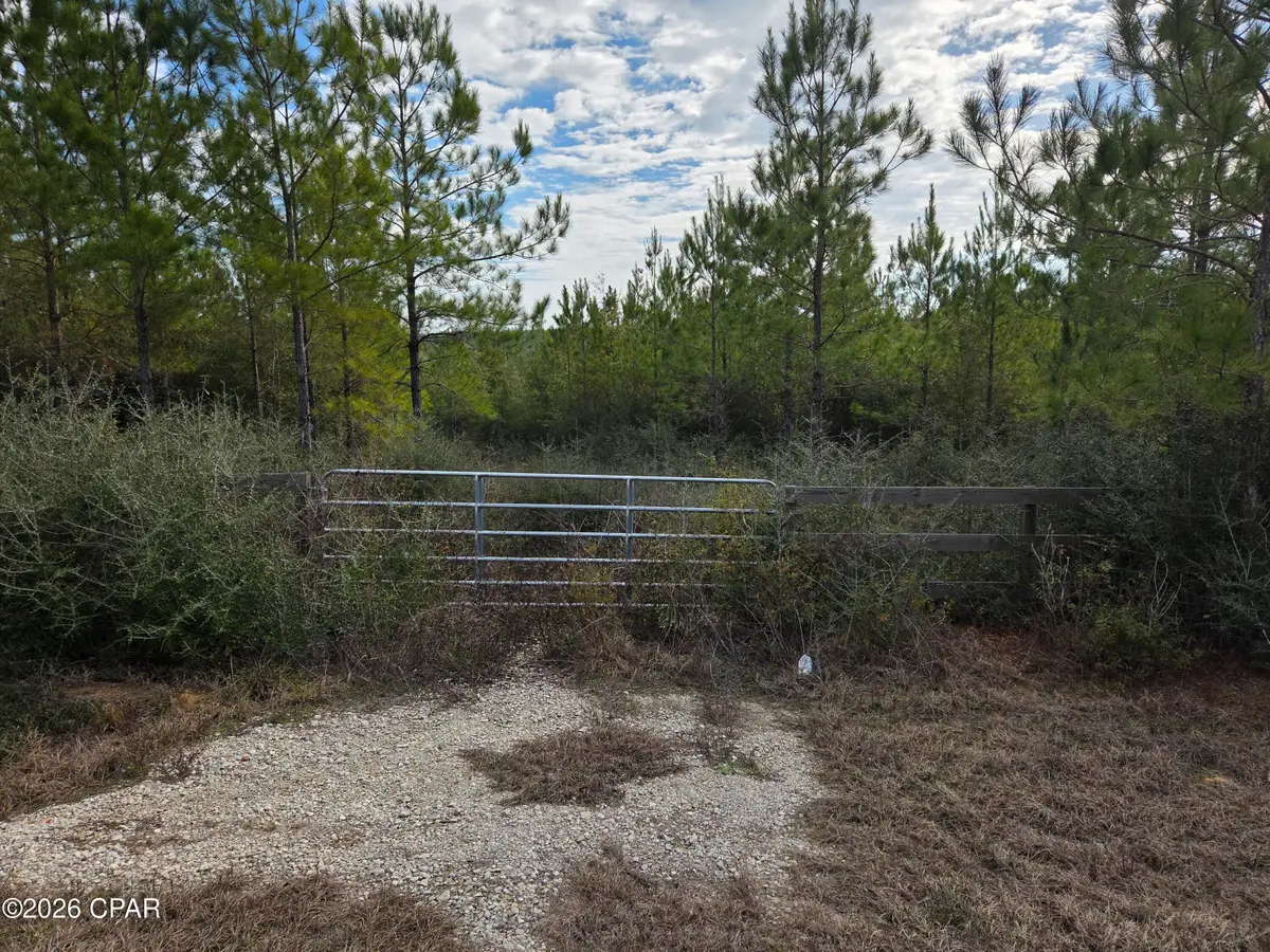 XXX NW Church Road, Altha, FL 32421 - #1