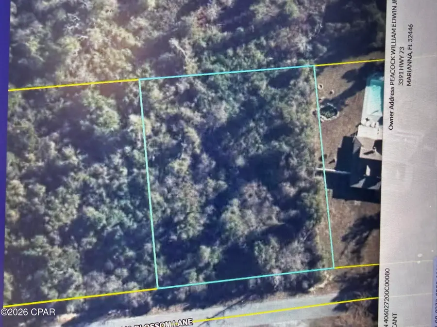 00 Magnolia Blossom Lane, Marianna, FL 32446 - Image #2