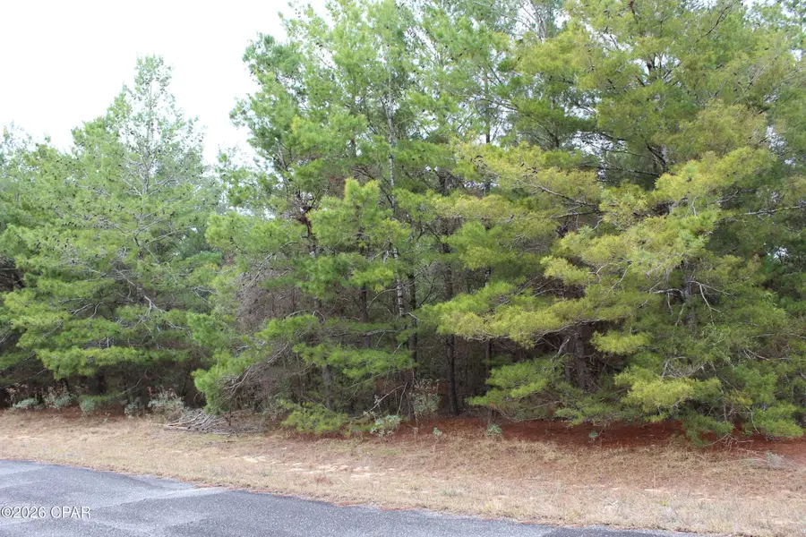 Lot 1 Cloverleaf Court, Chipley, FL 32428 - Image #3
