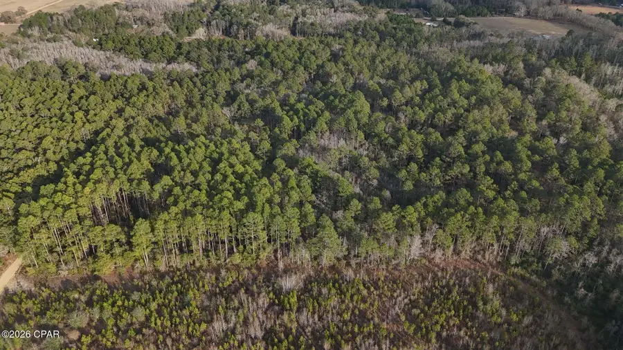 000 T J Mitchell Road, Bonifay, FL 32425 - Image #2