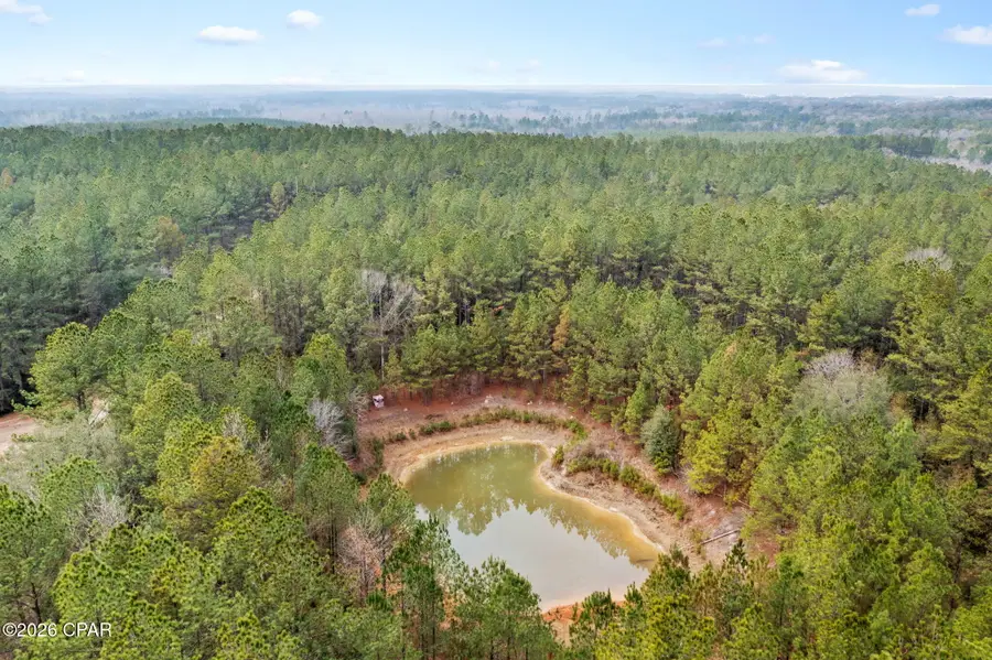 XXX Sumac Road, Westville, FL 32464 - Image #3