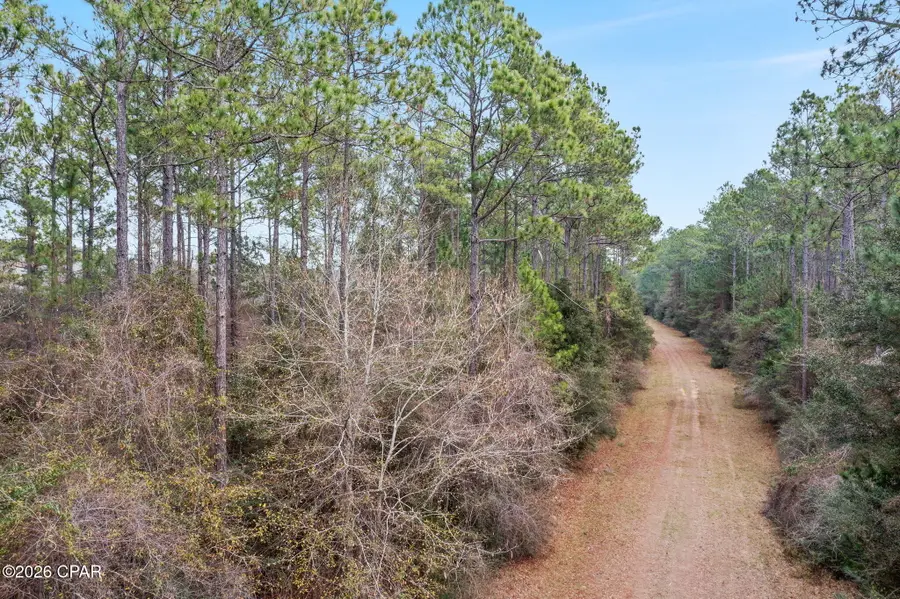 XXX White Oak Lane, Bonifay, FL 32425 - Image #2