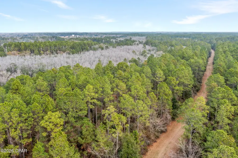 XXX White Oak Lane, Bonifay, FL 32425 - Image #3