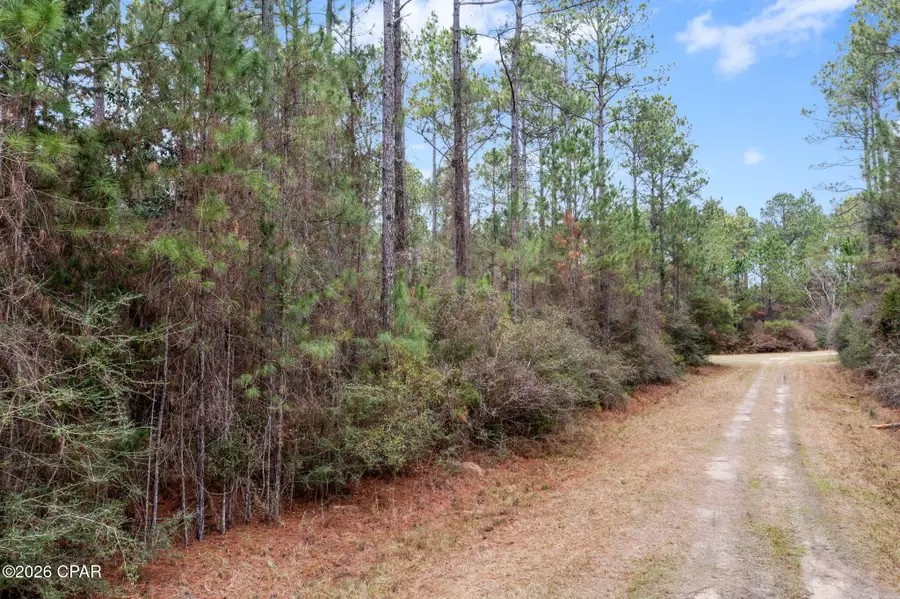 XXX Hawthorne Trail, Bonifay, FL 32425 - Image #2