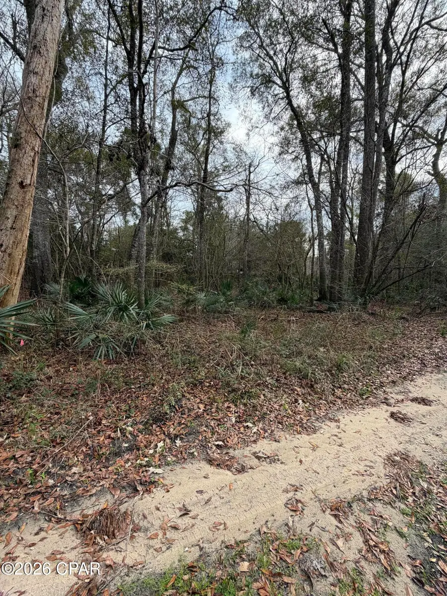 0 Big Cedar Road, Ponce De Leon, FL 32455 - Image #3