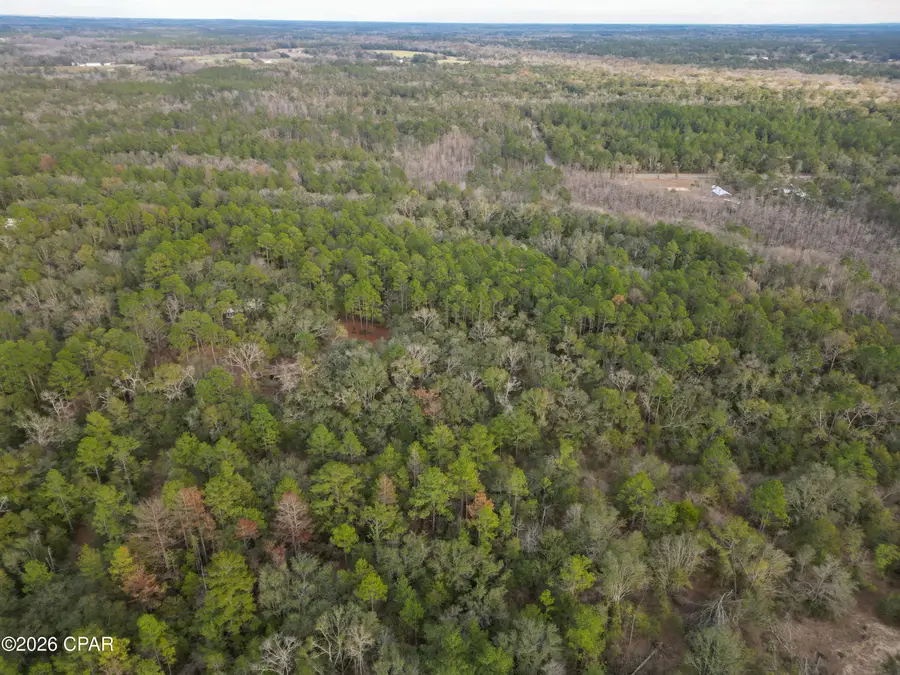 1853 Winterville Lane, Bonifay, FL 32425 - Image #2