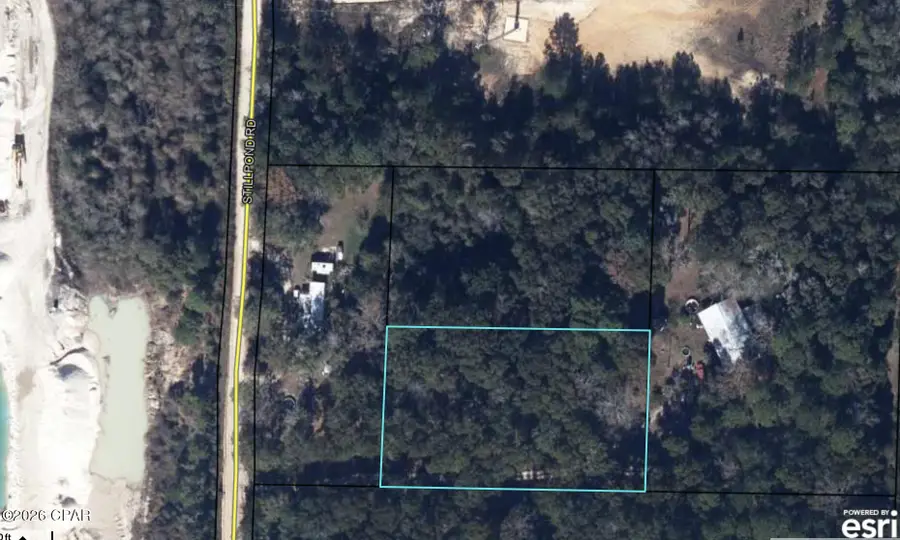 1+ Acres Still Pond Road, Ebro, FL 32437 - #3