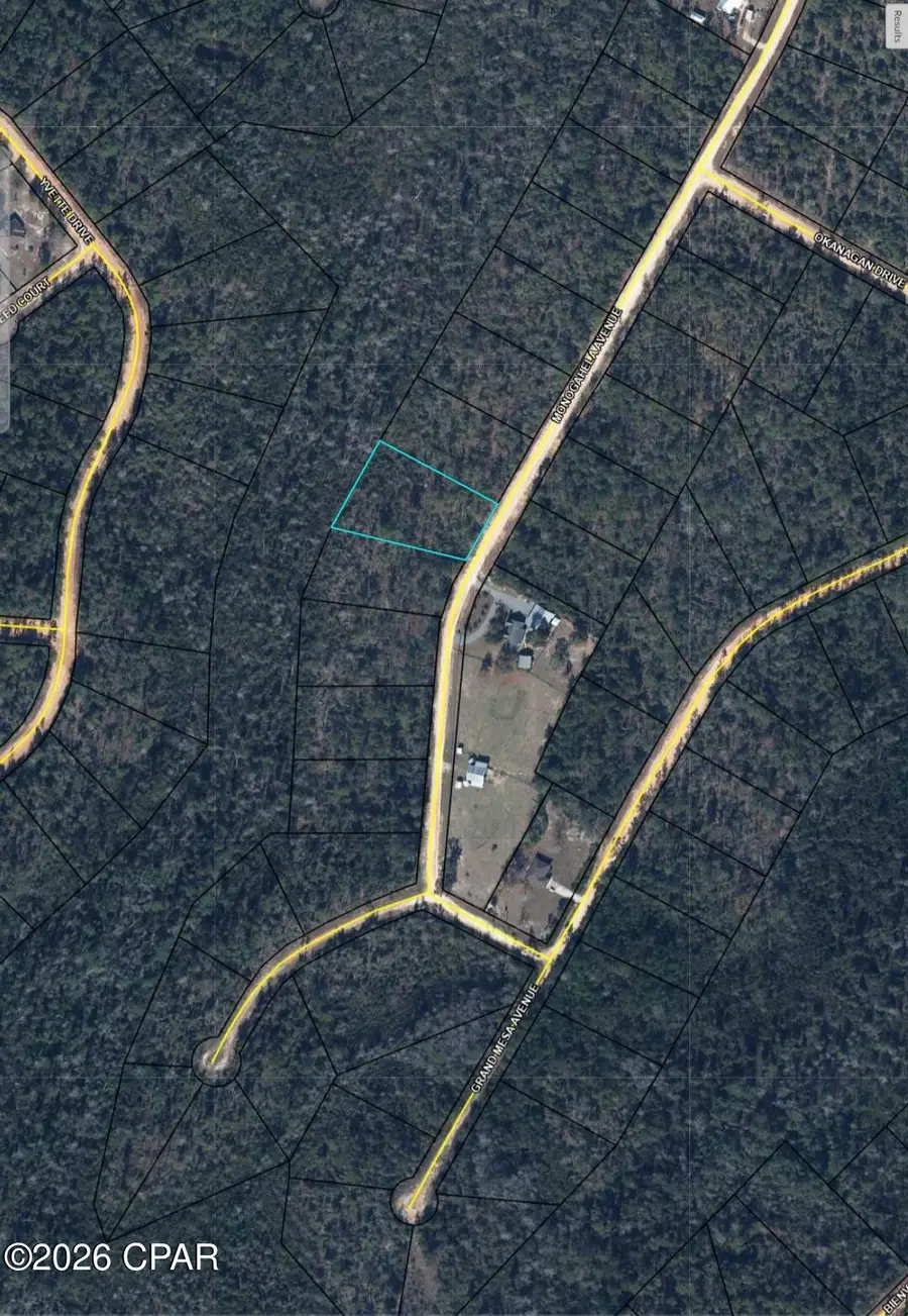 00 Monogahela Avenue, Alford, FL 32420 - #2