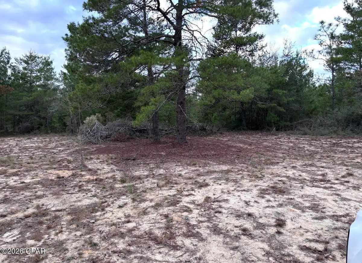 00 Fairhaven Drive #Lot 10, Chipley, FL 32428 - Image #1