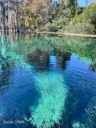 000 Flynt Drive, Marianna, FL 32446 - Image #1