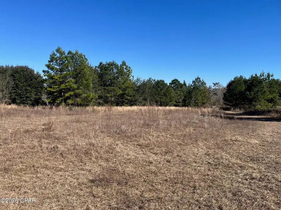 2889 Salem Church Road, Sneads, FL 32460 - #2