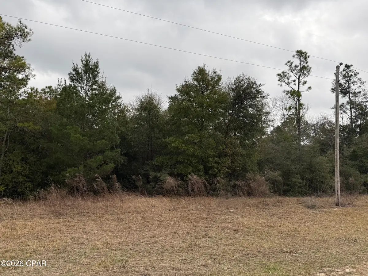 000 Russell Avenue, Alford, FL 32420 - Image #1