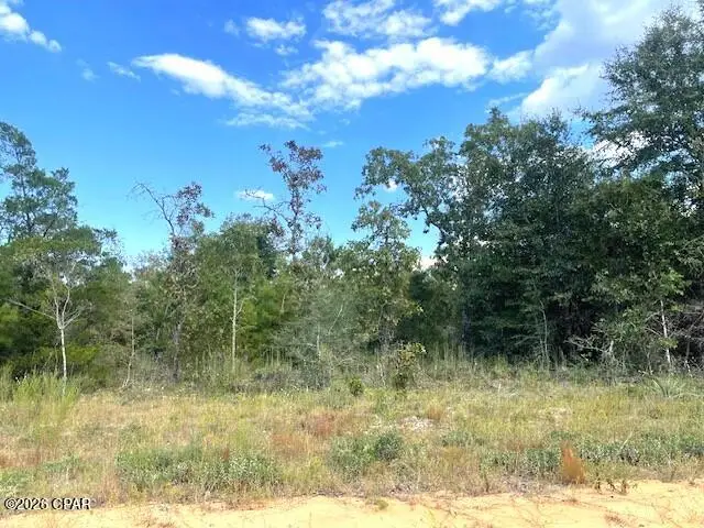 0 Fairway Drive, Marianna, FL 32446 - Image #2