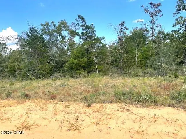 0 Fairway Drive, Marianna, FL 32446 - Image #3