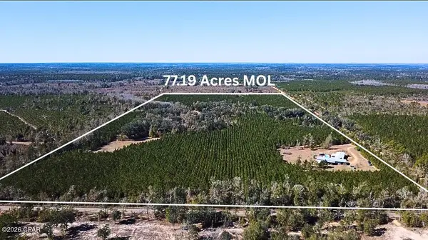 1112 Max Herrin Road, Chattahoochee, FL 32324