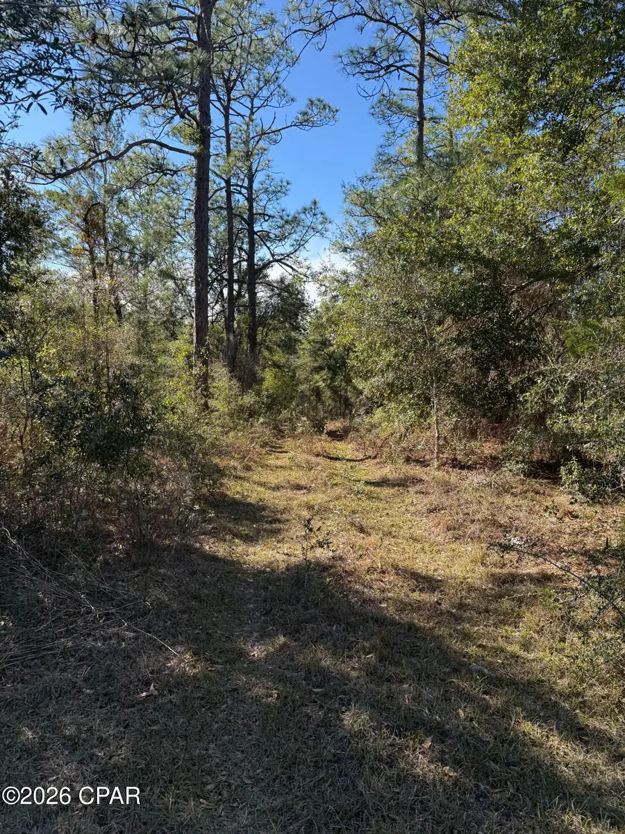 Lot 21 Grassy Pond Road, Chipley, FL 32428 - Image #2
