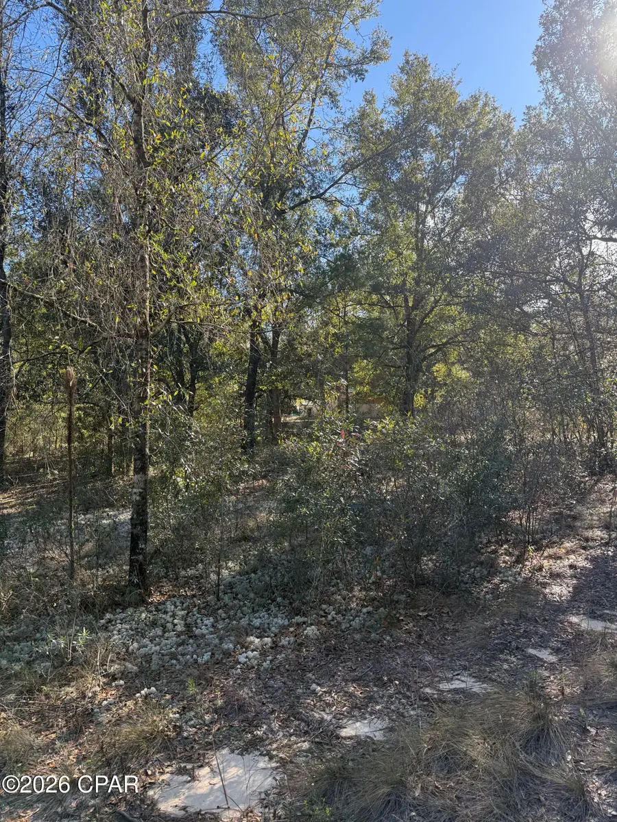 Lot 21 Grassy Pond Road, Chipley, FL 32428 - Image #3