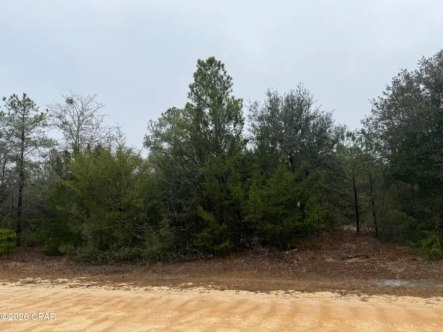 000 Elm Road, Marianna, FL 32448 - #2