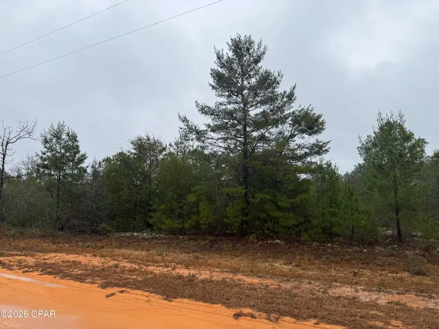 000 Elm Road, Marianna, FL 32448 - #3