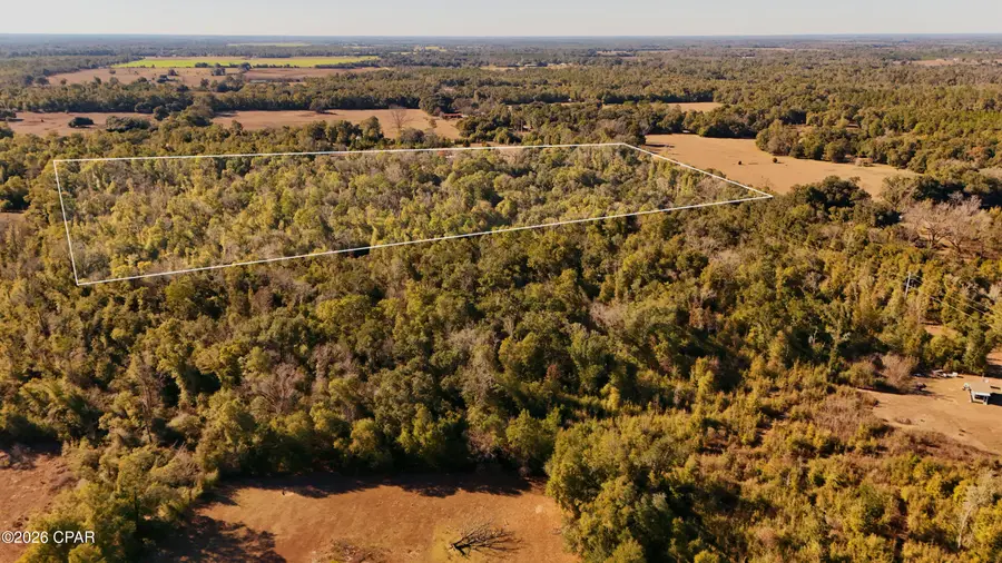 Lot 1 Oscar Road, Greenwood, FL 32443 - Image #2