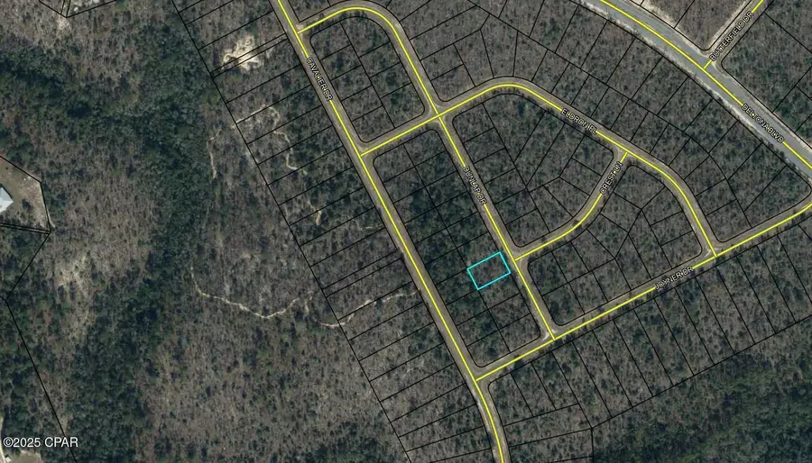 Lot 14 Dunlap Drive, Chipley, FL 32428 - Image #2