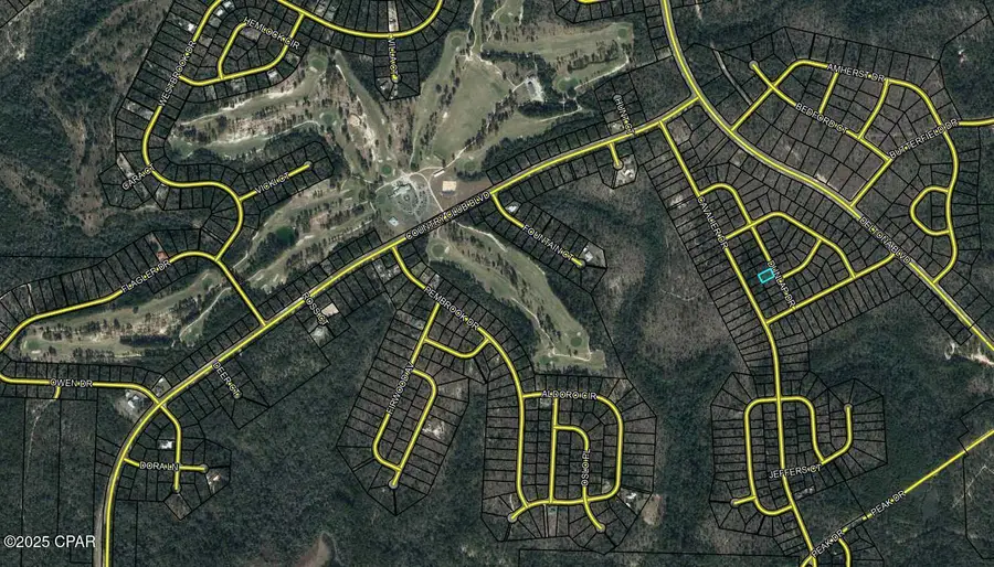 Lot 15 Dunlap Drive, Chipley, FL 32428 - Image #3