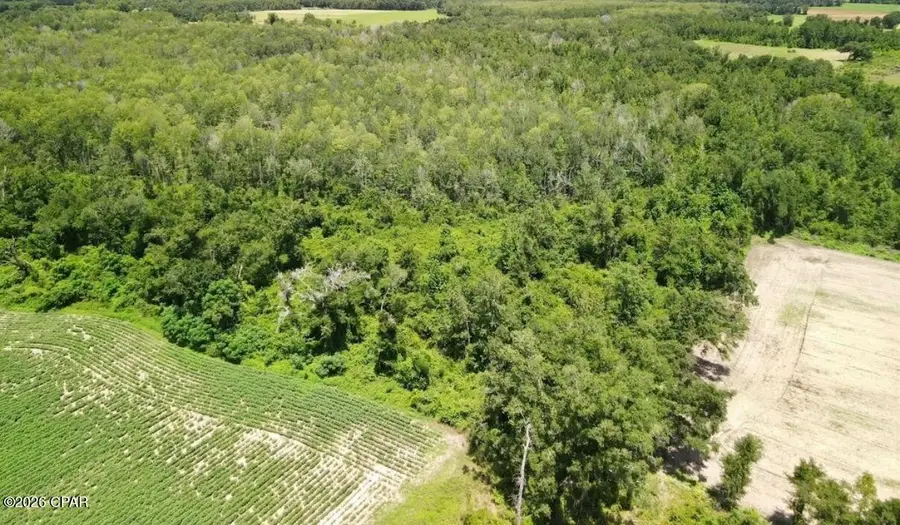 0 Peanut Road, Cottondale, FL 32431 - #2