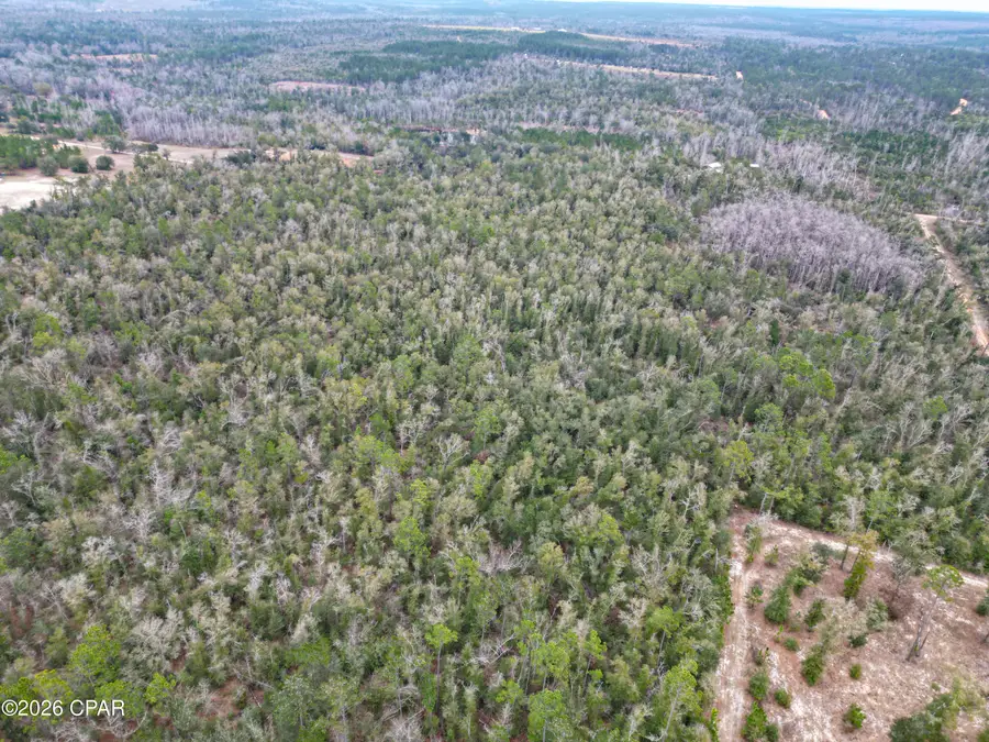 3340 Varsey Lane, Marianna, FL 32448 - #2