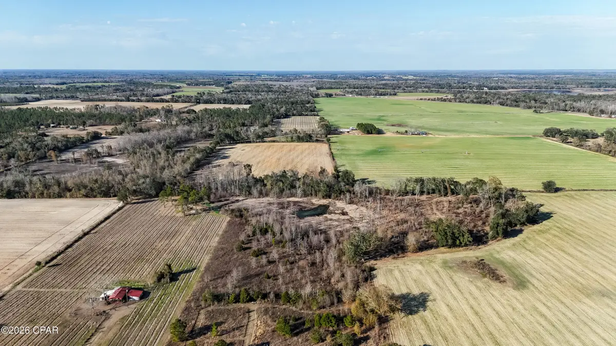 0000 Columbus Road, Grand Ridge, FL 32442 - #1