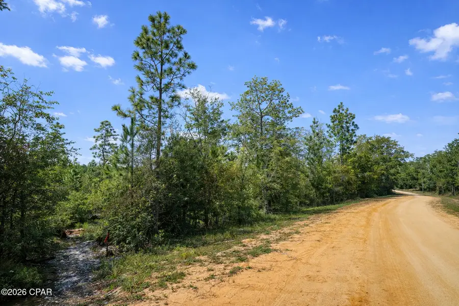 Lot 14 Frederica Drive, Alford, FL 32420 - #3
