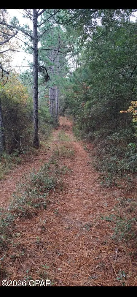 00 S River Road, Vernon, FL 32462 - #3