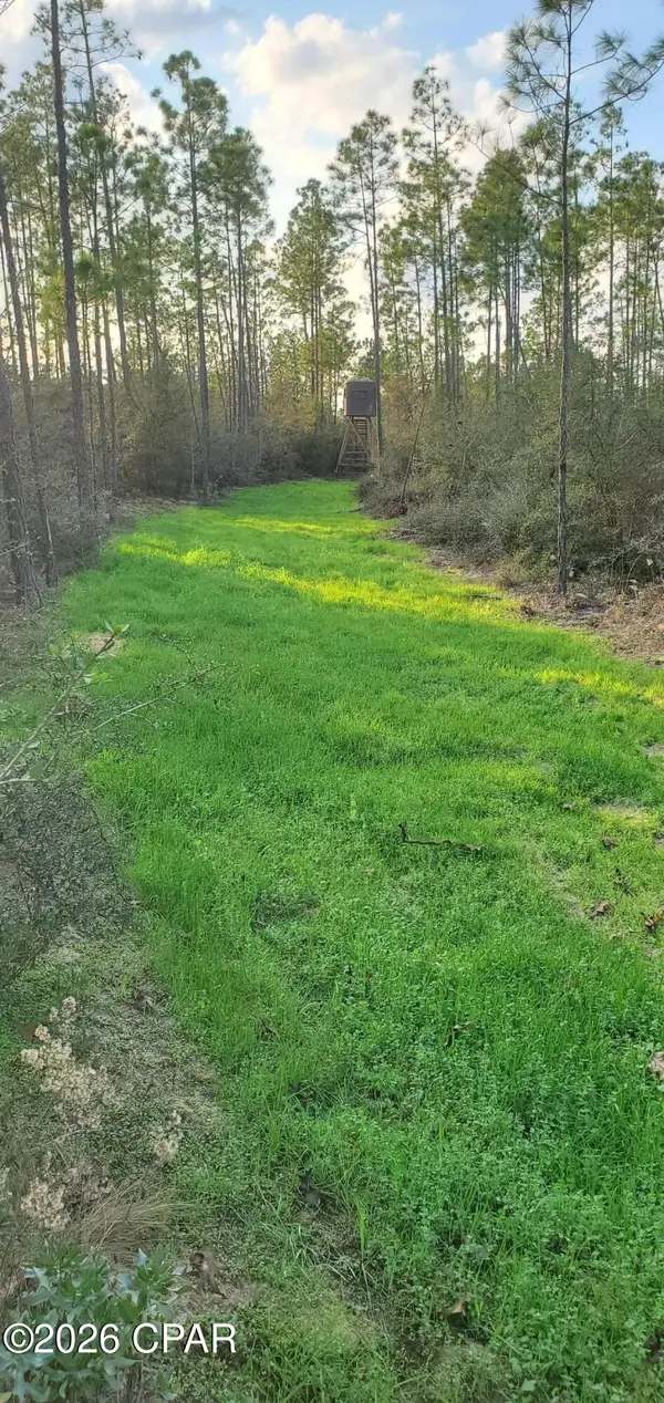 00 Elkcam Boulevard, Southport, FL 32409