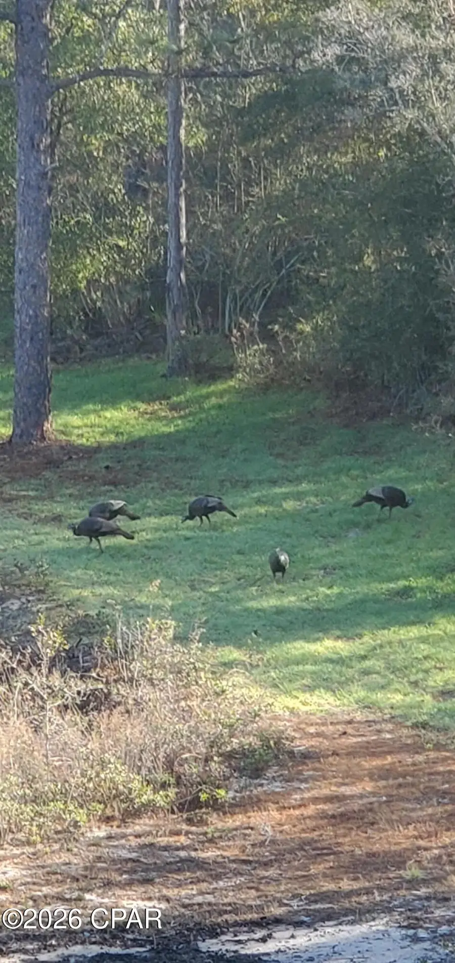 00 Elkcam Boulevard, Southport, FL 32409 - #3