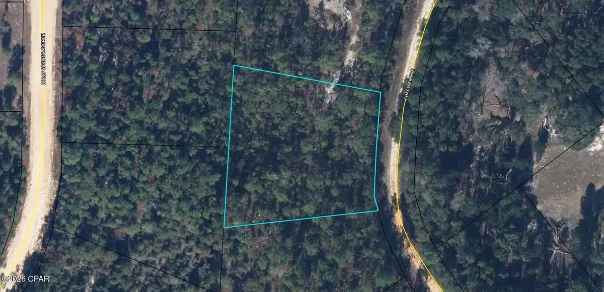 3140 Chaco Circle, Alford, FL 32420 - #1