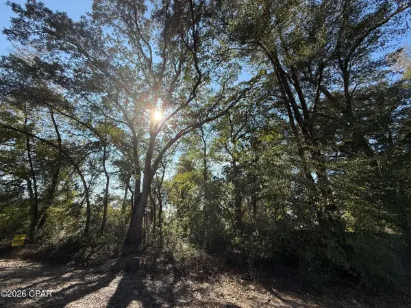 0001 Appalachee Trail, Marianna, FL 32446