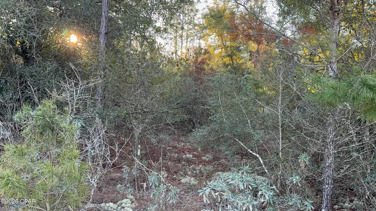 Address Withheld By Seller, Chipley, FL 32428 - #1