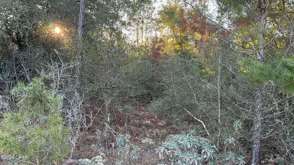 Address Withheld By Seller, Chipley, FL 32428